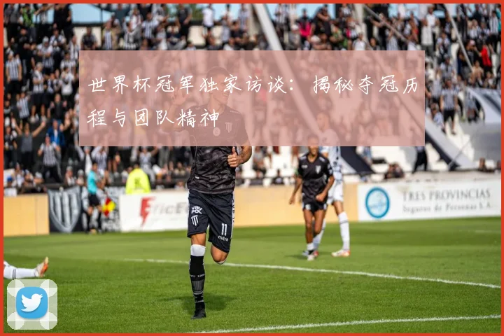 世界杯冠军独家访谈:揭秘夺冠历程与团队精神