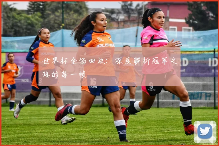 世界杯全场回放:深度解析冠军之路的每一帧