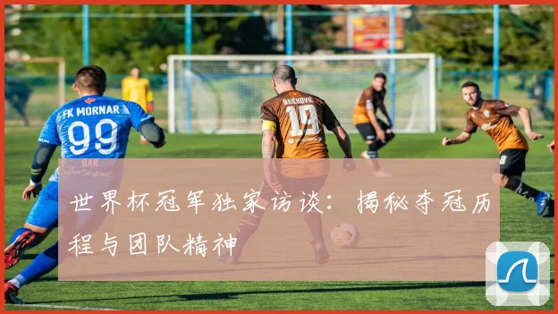 世界杯冠军独家访谈:揭秘夺冠历程与团队精神