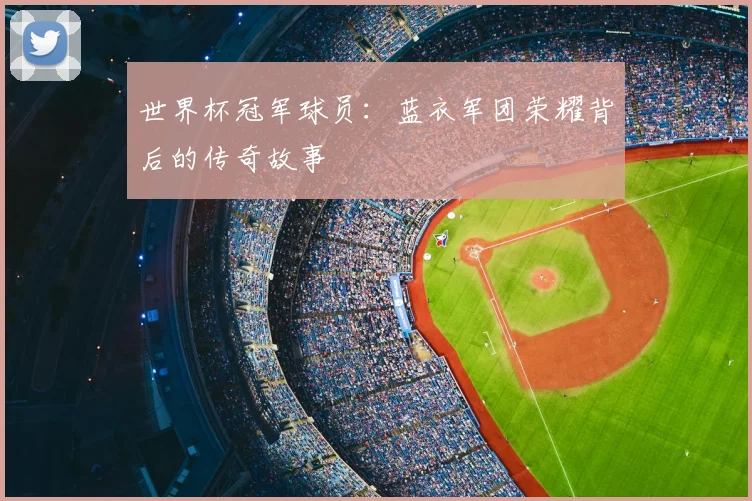 世界杯冠军球员:蓝衣军团荣耀背后的传奇故事