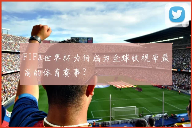 FIFA世界杯为何成为全球收视率最高的体育赛事?