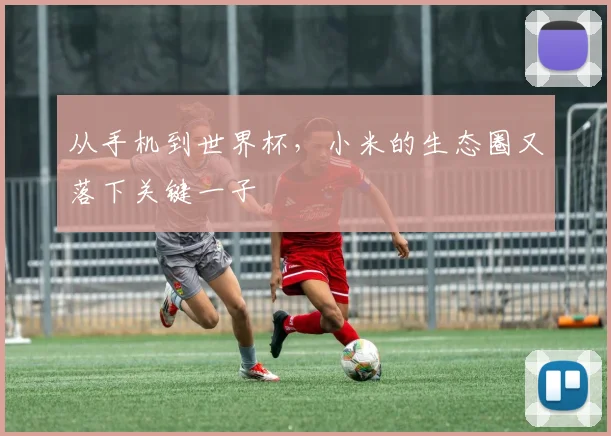 从手机到世界杯，小米的生态圈又落下关键一子
