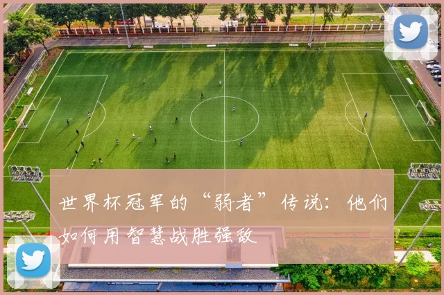 世界杯冠军的“弱者”传说:他们如何用智慧战胜强敌
