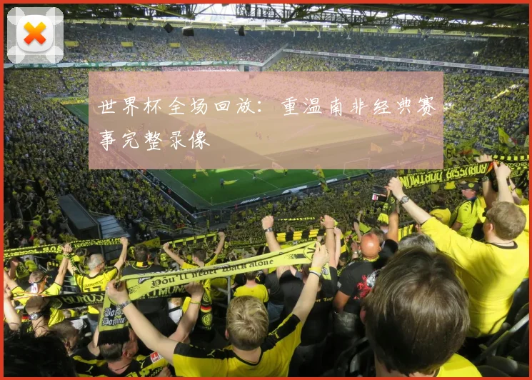 世界杯全场回放：重温南非经典赛事完整录像